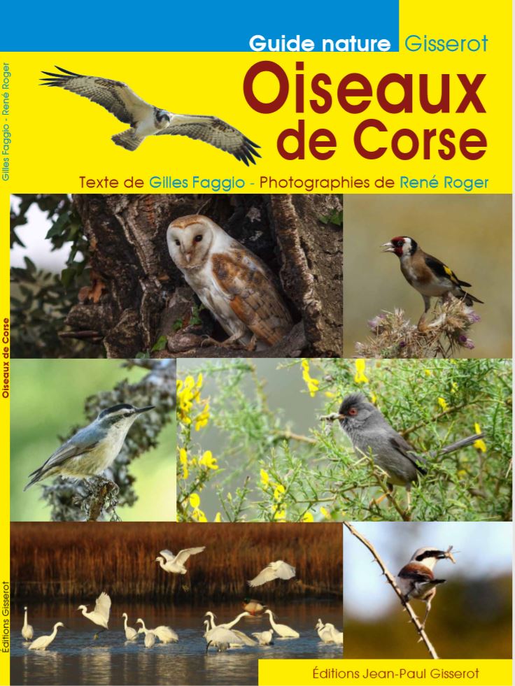 couverture oiseaux de corse