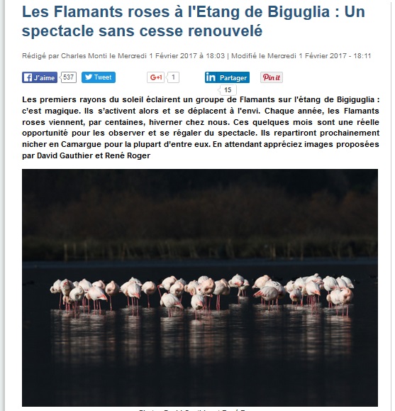 Corse Net Infos