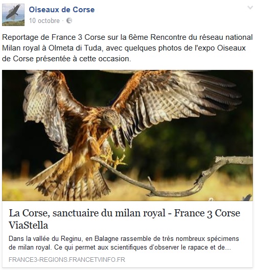 Corse Net Infos