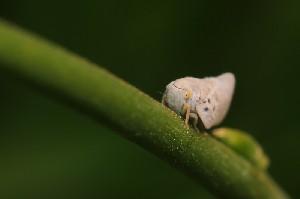 mini IMG 6581-3