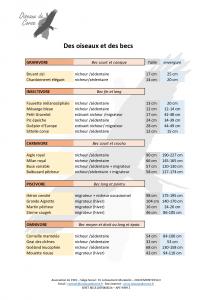 Fiche succincte des oiseaux et des becs