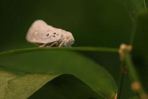 mini IMG 6588-3