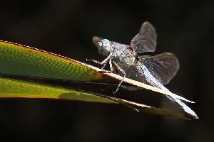 mini IMG 6332-2