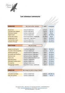 Fiche succincte Les oiseaux communs