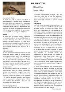  fiche espèce milan royal