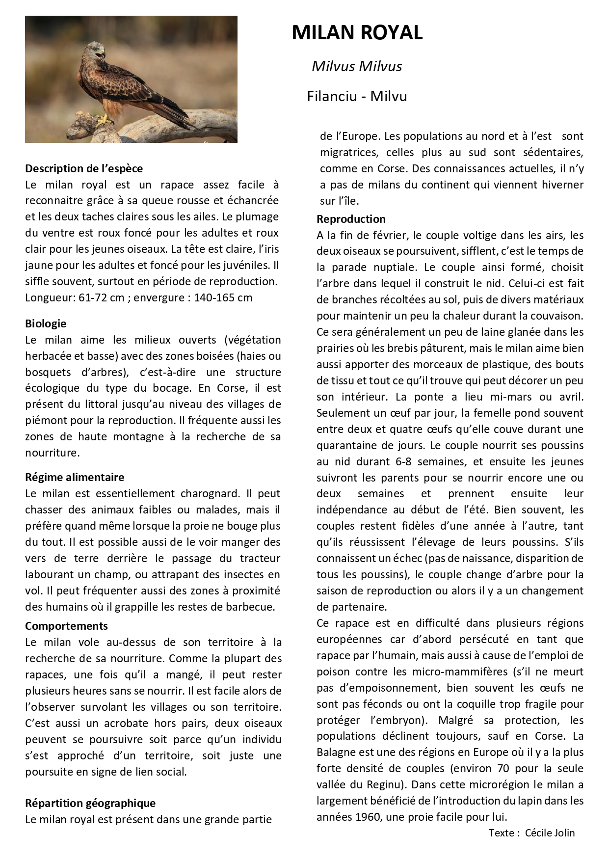  fiche espèce milan royal