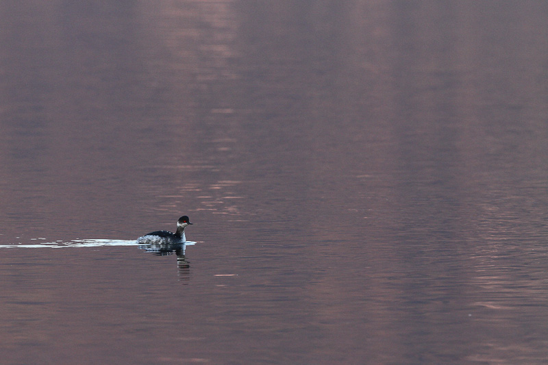 IMG 6580-3