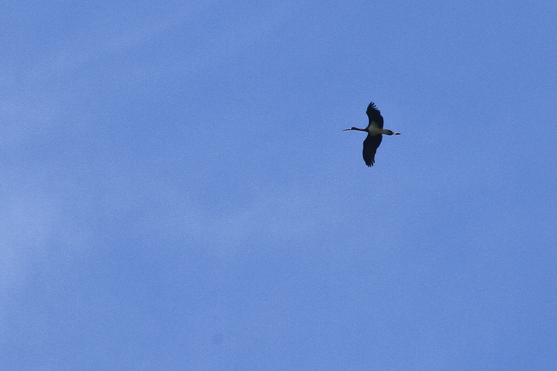 IMG 9357-3