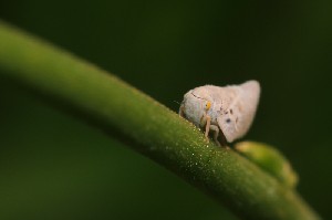 mini IMG 6581-3